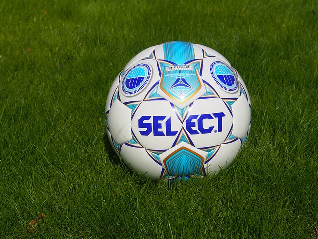 迷和媒体的 迷和媒体的