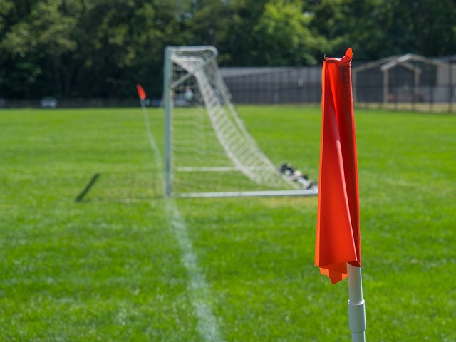 对国足的影 对国足的影