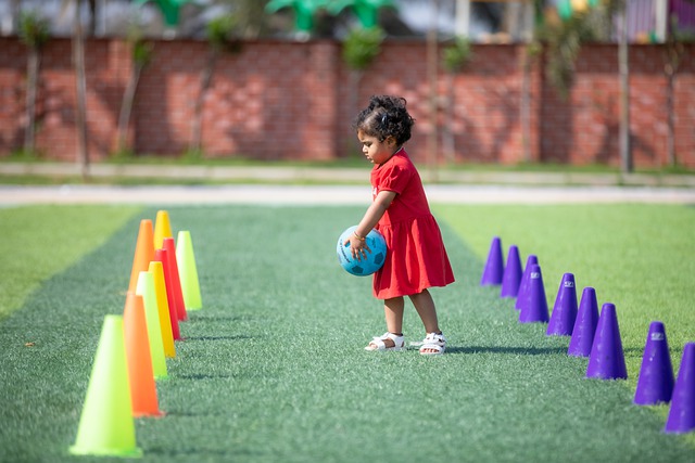 各有側重 各有側重