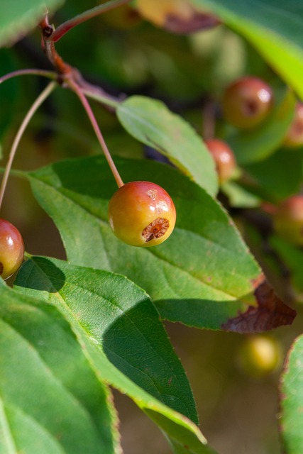 国大陆东西 国大陆东西